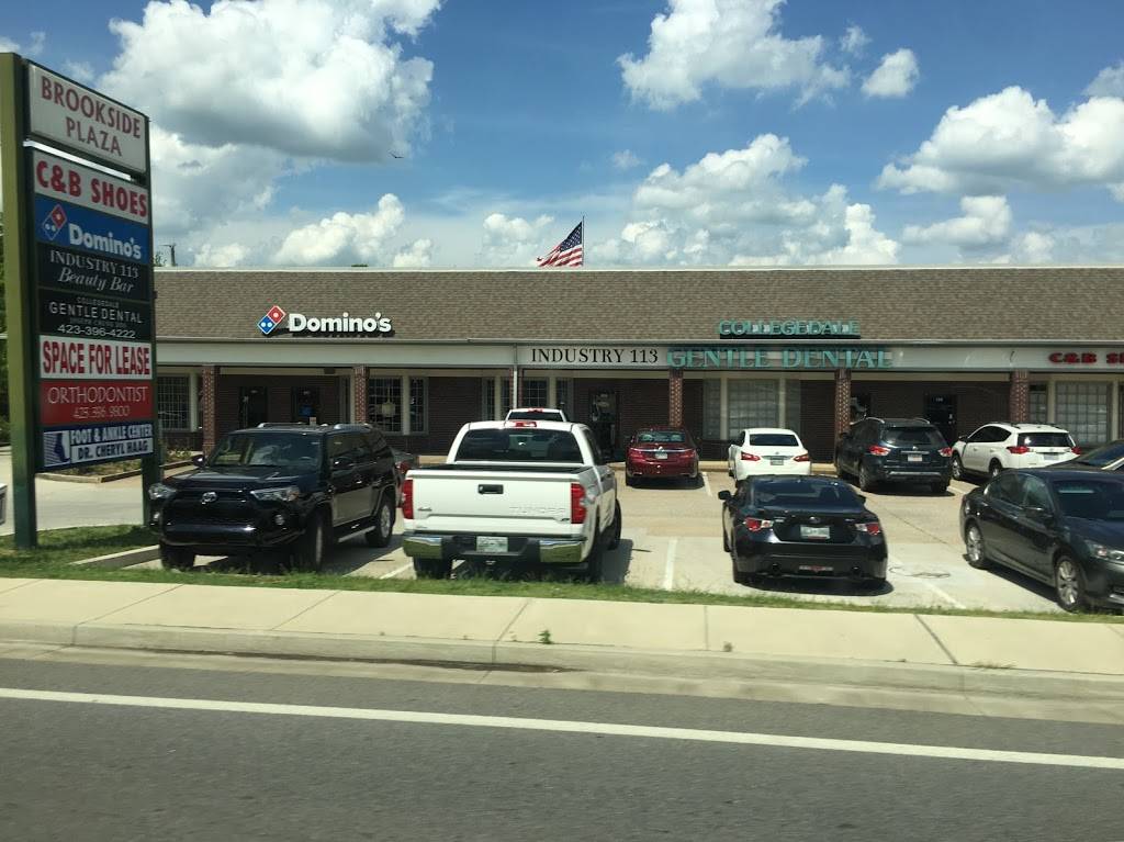 Dominos Pizza | meal delivery | 9325 Apison Pike Ste 107, Ooltewah, TN 37363, USA | 4233964444 OR +1 423-396-4444