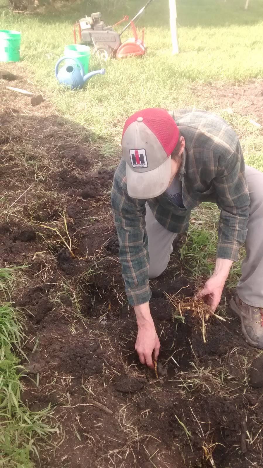 LIFE- Levis Indigenous Fruit Enterprises | restaurant | 1045 210th St, Keota, IA 52248, USA | 3199611438 OR +1 319-961-1438