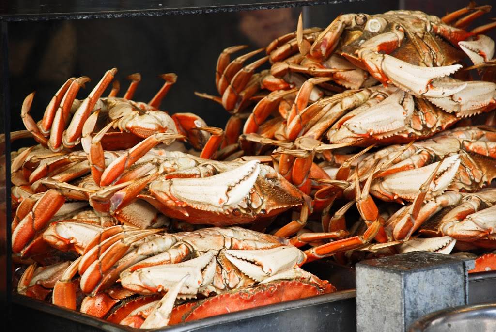 Guardinos | restaurant | 2801 Taylor St, San Francisco, CA 94133, USA | 4157753669 OR +1 415-775-3669