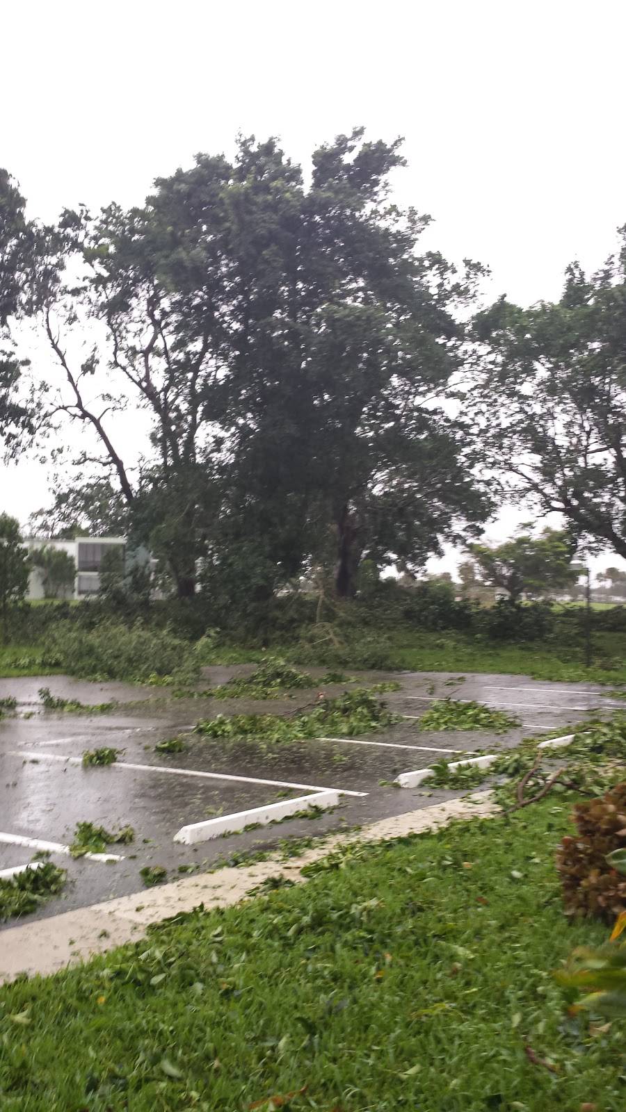 Oriole Golf Club | restaurant | 8000 Margate Blvd, Margate, FL 33063, USA | 9549728140 OR +1 954-972-8140