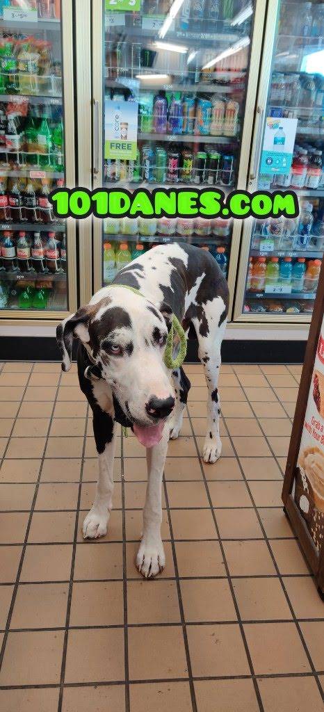 Subway | restaurant | 4707 County Dr, Disputanta, VA 23842, USA | 8048618212 OR +1 804-861-8212