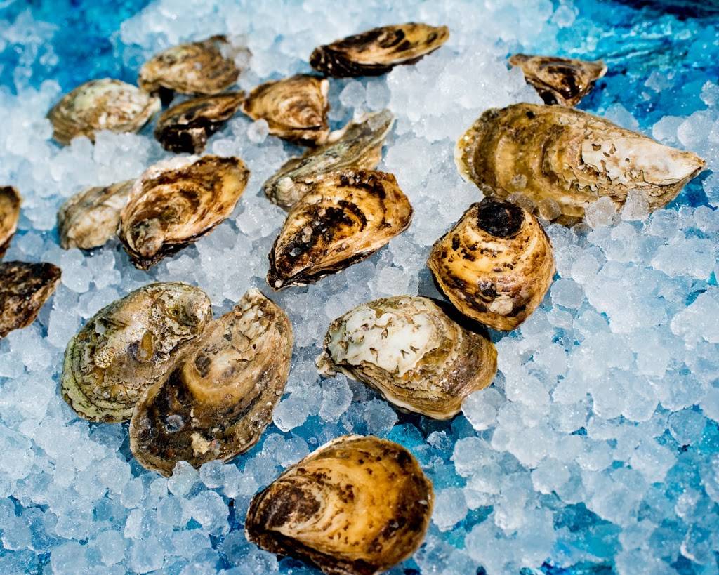 Boat Drinks | restaurant | 56 St George St, St. Augustine, FL 32084, USA | 9042740094 OR +1 904-274-0094