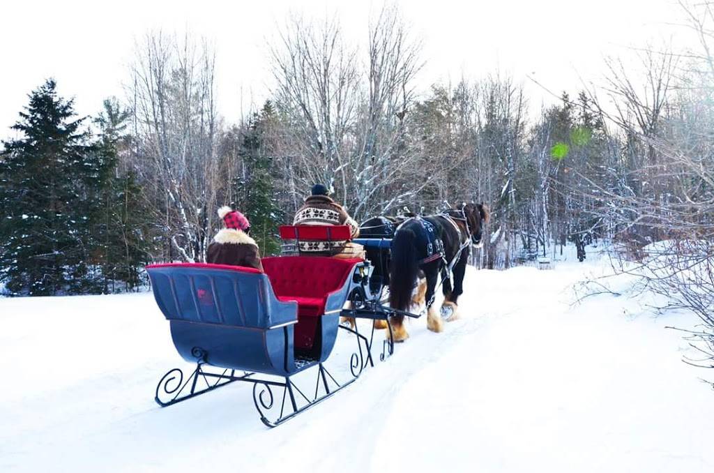 710 Excursions | restaurant | 710 Rte 366, Ladysmith, QC J0X 2A0, Canada | 8196472724 OR +1 819-647-2724