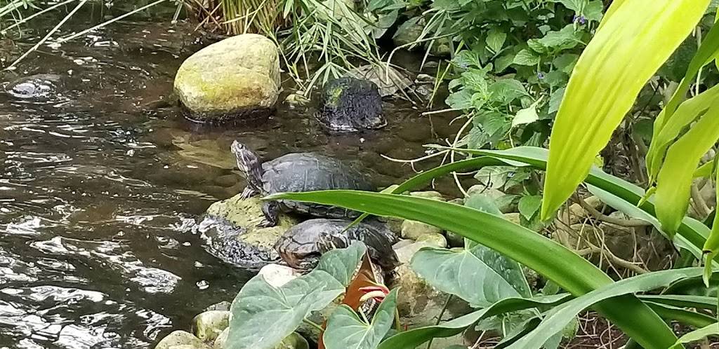 Cambridge Butterfly Conservatory | restaurant | 2500 Kossuth Rd, Cambridge, ON N3H 4R7, Canada | 5196531234 OR +1 519-653-1234