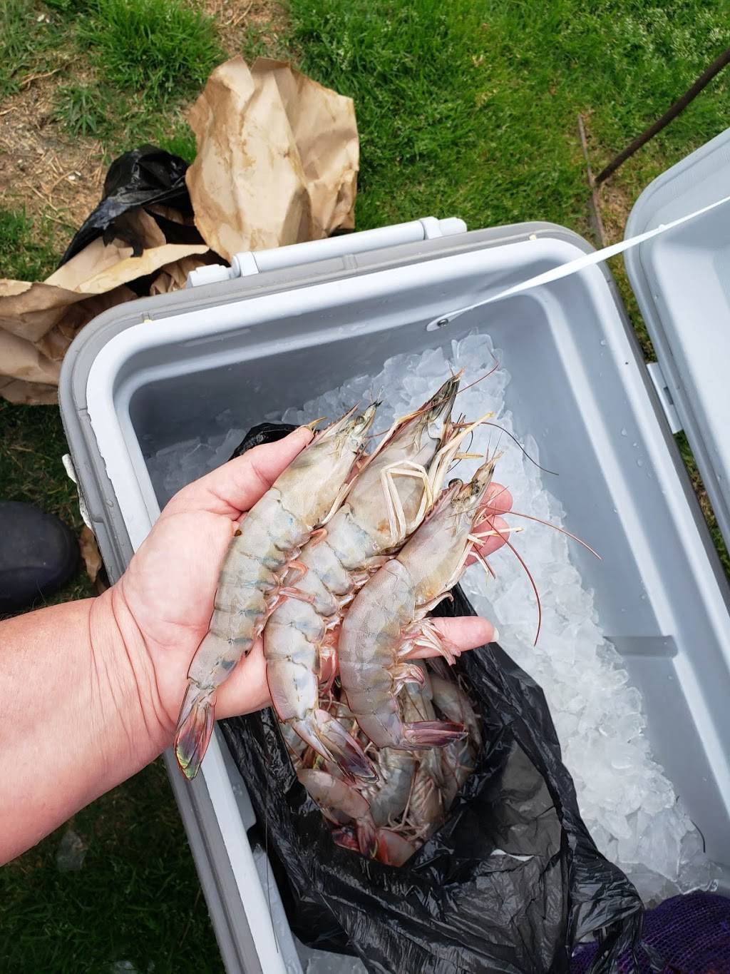 Wades Seafood Shack | restaurant | Westwego, LA 70094, USA | 5043412222 OR +1 504-341-2222