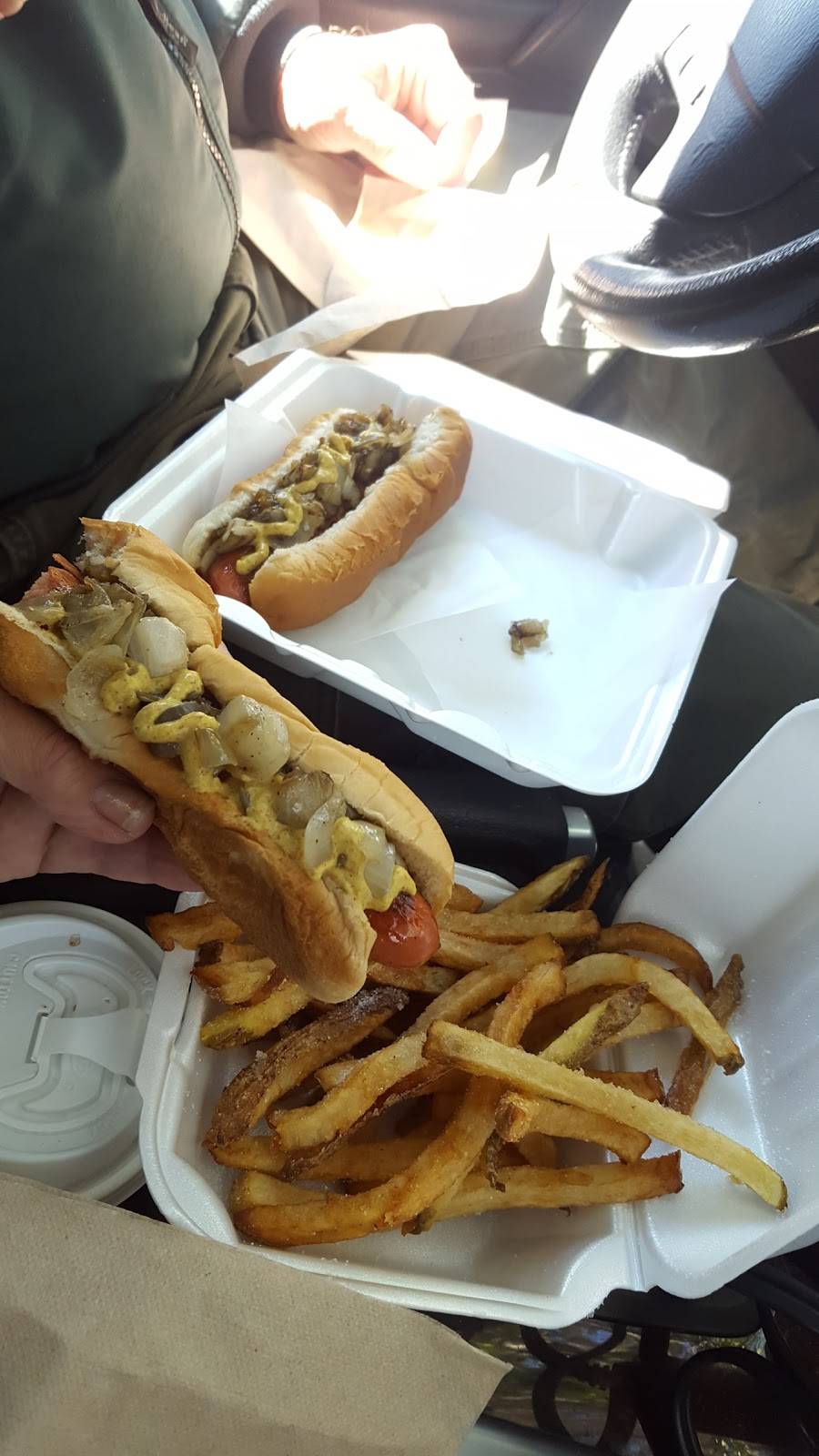 Hazels Hot Dogs | restaurant | 2400 N Ponce De Leon Blvd, St. Augustine, FL 32084, USA | 9048248484 OR +1 904-824-8484