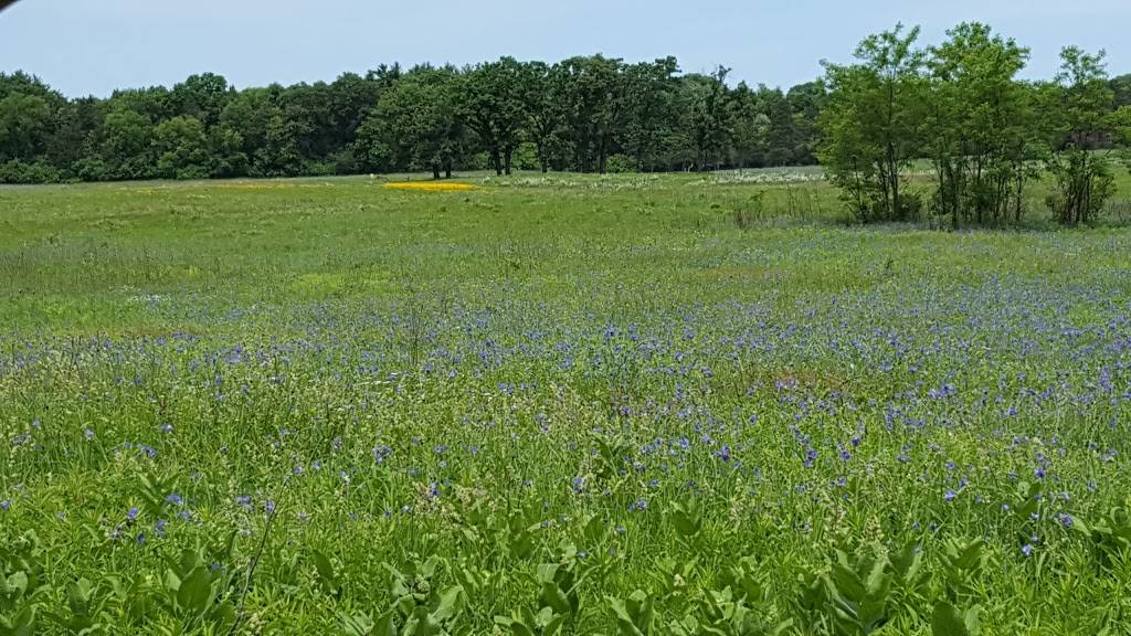 Golf Courses of Lawsonia | restaurant | S Valley View Dr, Green Lake, WI 54941, USA | 9202943320 OR +1 920-294-3320