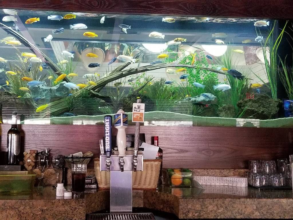 Cheddars Scratch Kitchen | restaurant | 5424 O St, Lincoln, NE 68510, USA | 4024880357 OR +1 402-488-0357