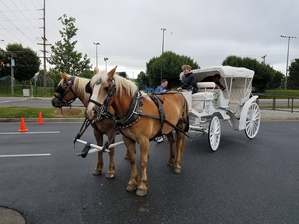 Chick-fil-A | restaurant | 4805 Valley View Blvd NW, Roanoke, VA 24012, USA | 5403621160 OR +1 540-362-1160