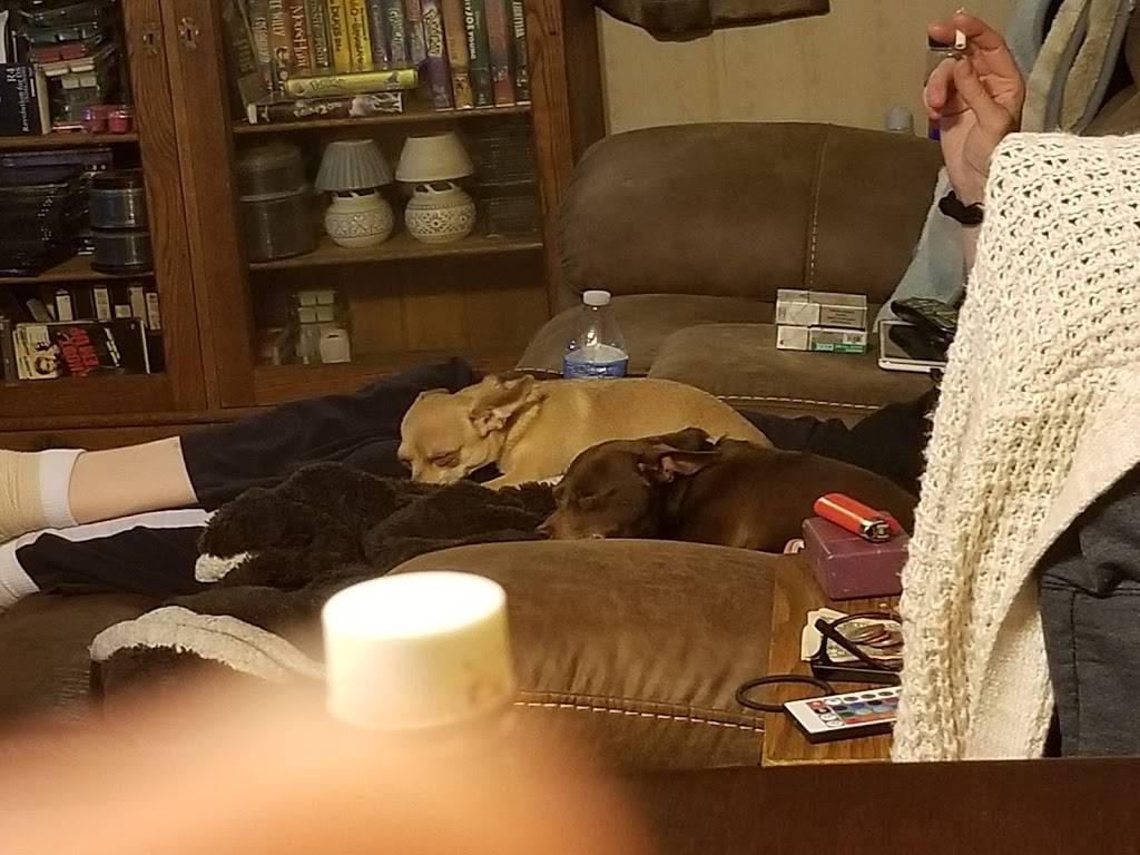 ZZs Big Top | night club | 35015 Detroit Rd, Avon, OH 44011, USA | 4406950536 OR +1 440-695-0536