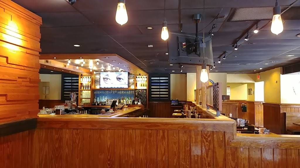 Outback Steakhouse | restaurant | 11196 Abercorn St, Savannah, GA 31419, USA | 9129200555 OR +1 912-920-0555