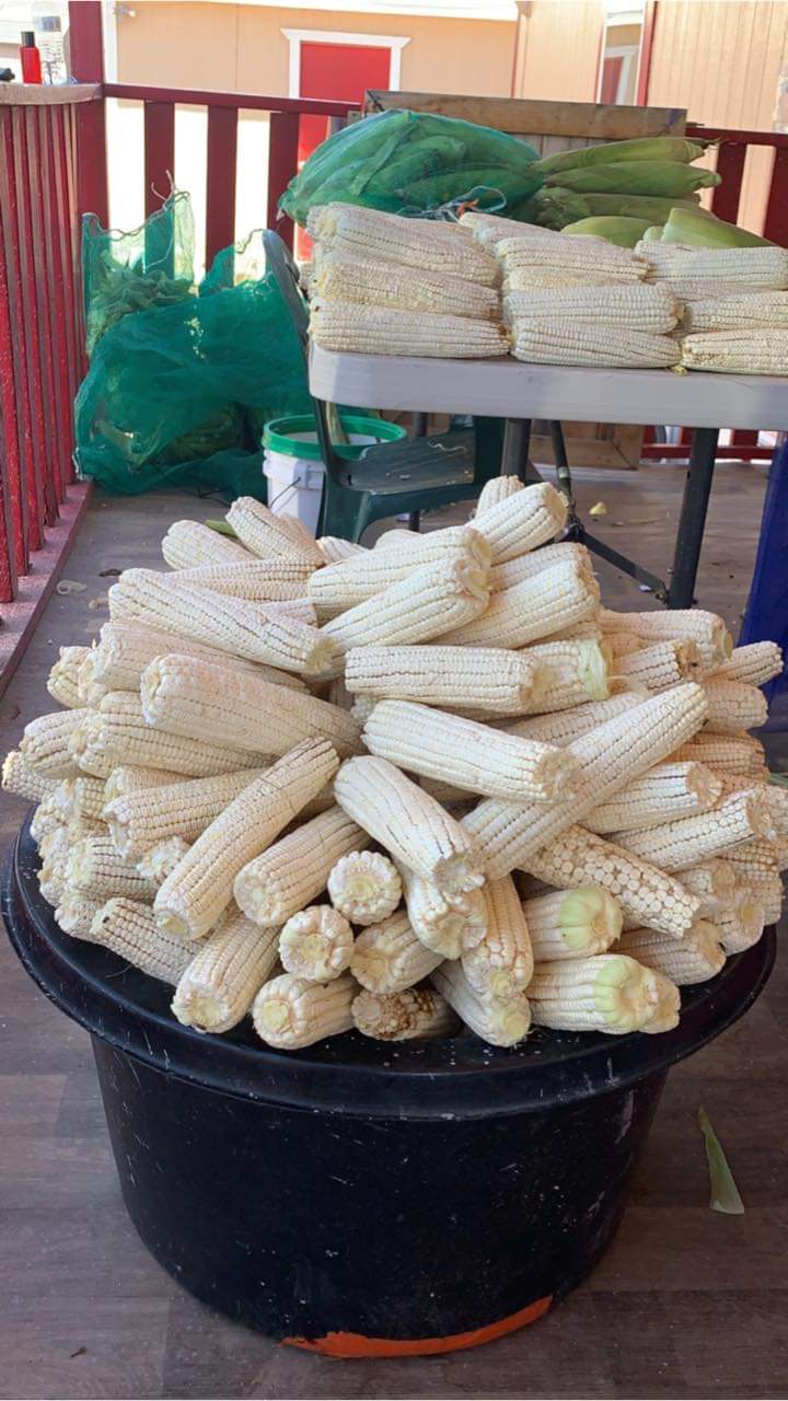 Hotdogs y Elotes El Aguila | restaurant | 216 Old Coors Dr SW, Albuquerque, NM 87121, USA | 5053407799 OR +1 505-340-7799