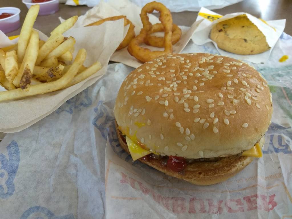 Hardees | restaurant | 6292 Commercial Way, Weeki Wachee, FL 34613, USA | 3525969068 OR +1 352-596-9068