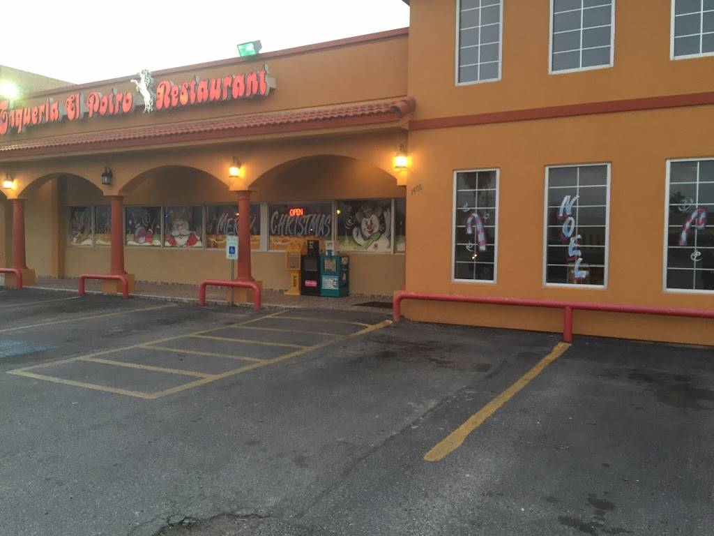 El Potro | restaurant | 1401 Rodd Field Rd, Corpus Christi, TX 78412, USA | 3619861028 OR +1 361-986-1028