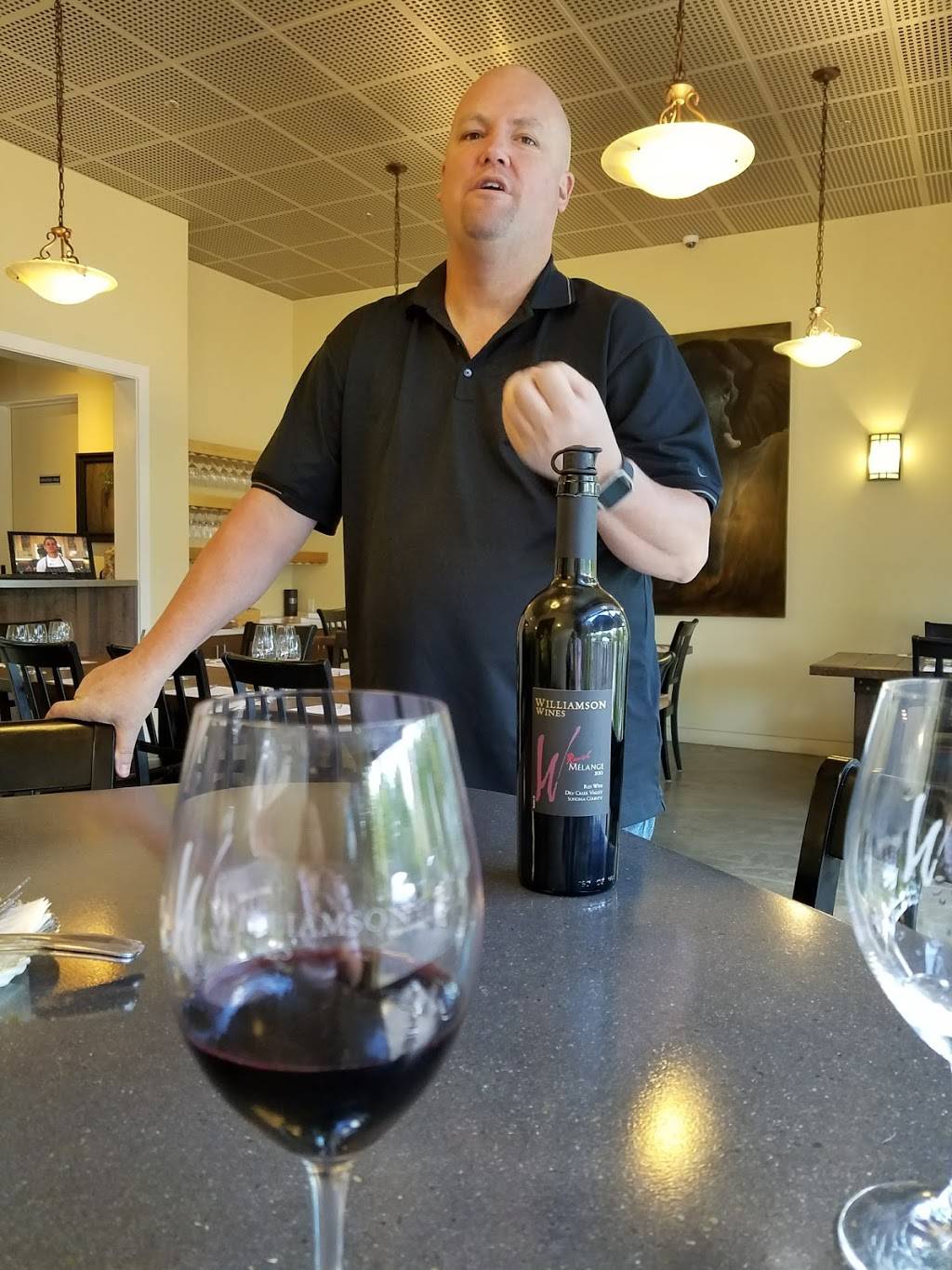 Williamson Wines | restaurant | 18 Matheson St, Healdsburg, CA 95448, USA | 7074331500 OR +1 707-433-1500