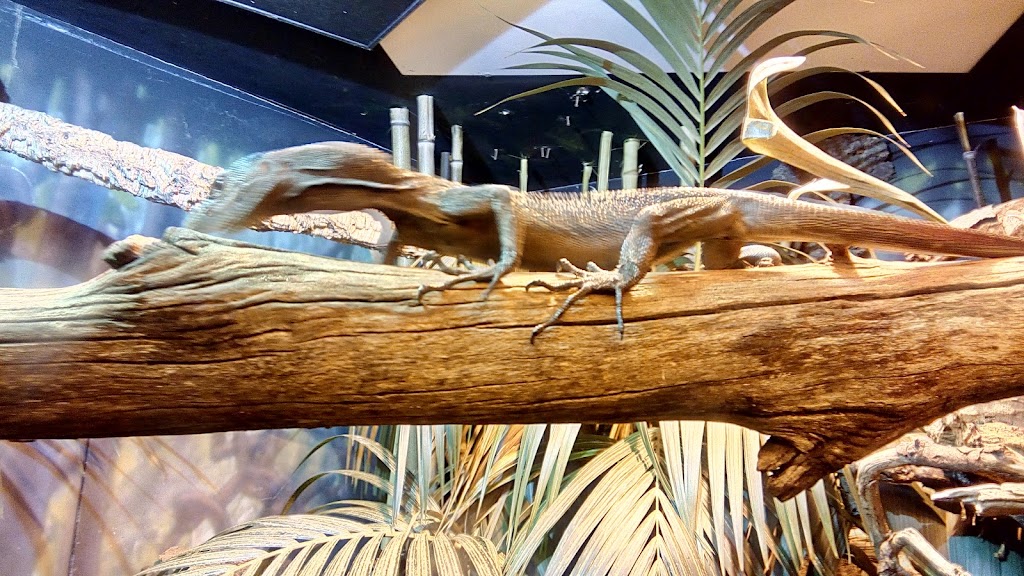 Tuskers Grill at Oakland Zoo | cafe | 9777 Golf Links Rd, Oakland, CA 94605, USA | 5106329525 OR +1 510-632-9525