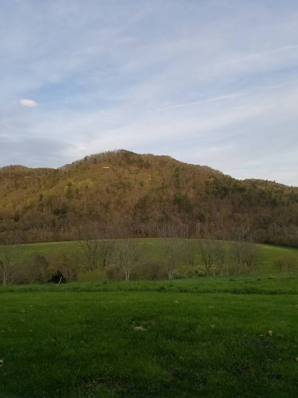 Mountain View Italian Kitchen | restaurant | 3199 N Fork Rd, Elliston, VA 24087, USA | 5402682512 OR +1 540-268-2512