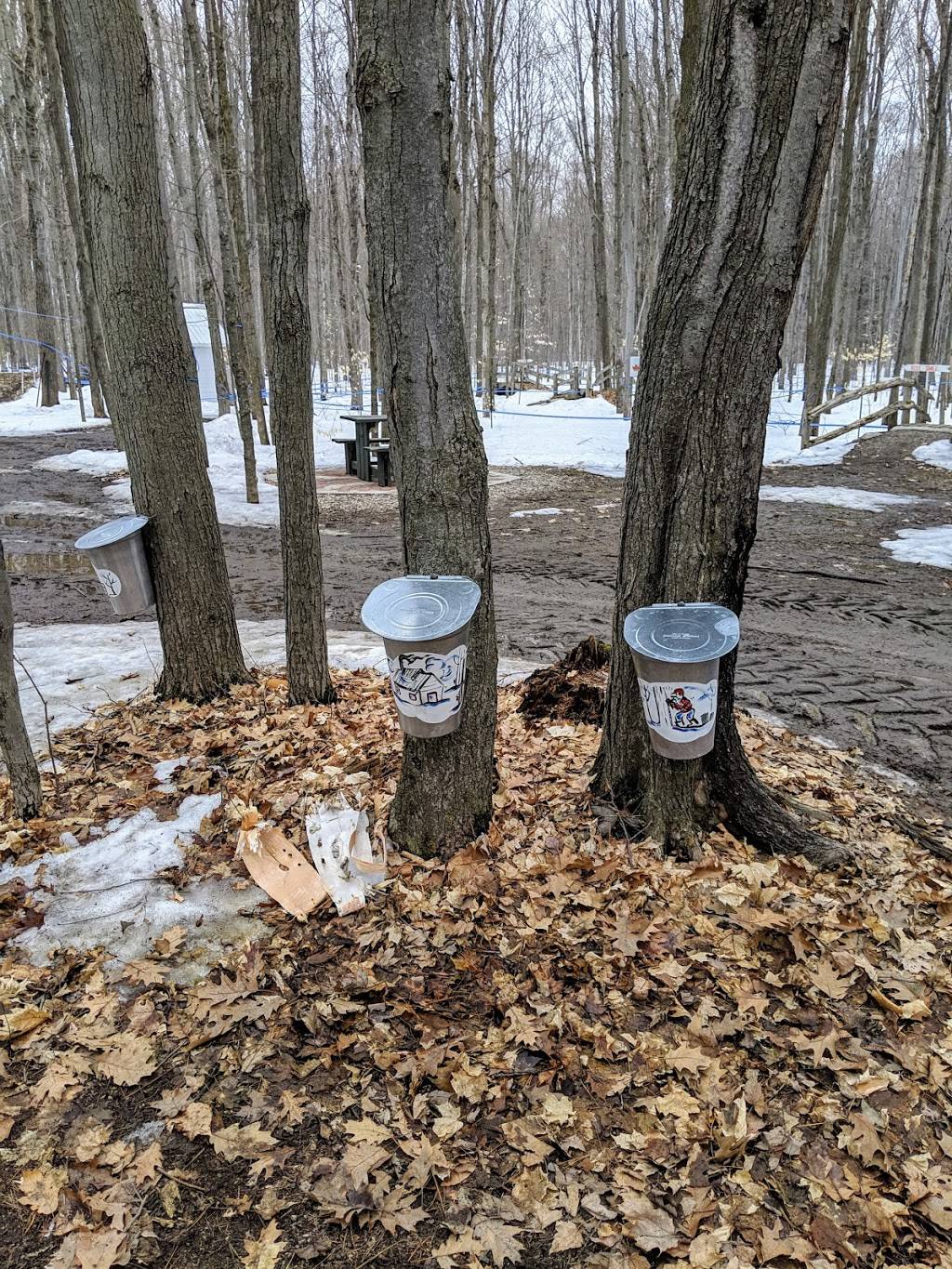 Sucrerie Alary | restaurant | 3242 QC-148, Luskville, QC J0X 2G0, Canada | 8194552572 OR +1 819-455-2572