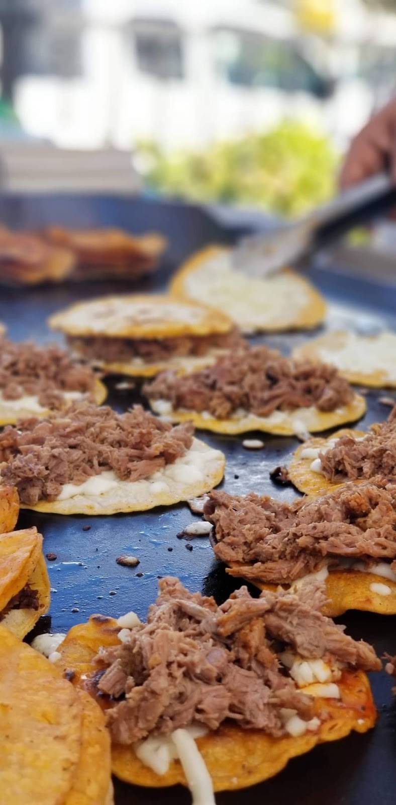 Tacos villa | restaurant | 1128 E 84th St, Los Angeles, CA 90001, USA | 3233603485 OR +1 323-360-3485