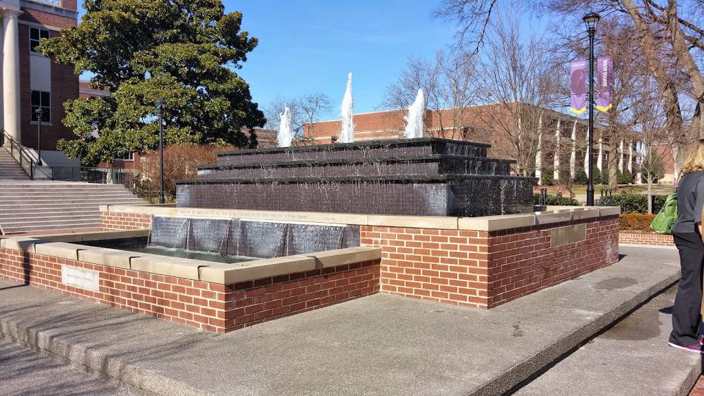 Bison Cafe | restaurant | 3901 Granny White Pike, Nashville, TN 37204, USA | 6159666265 OR +1 615-966-6265