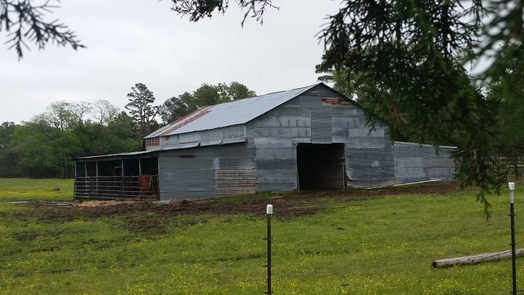 Bella Stella Winery | restaurant | 879 Co Rd 4440, Winnsboro, TX 75494, USA | 9039750020 OR +1 903-975-0020