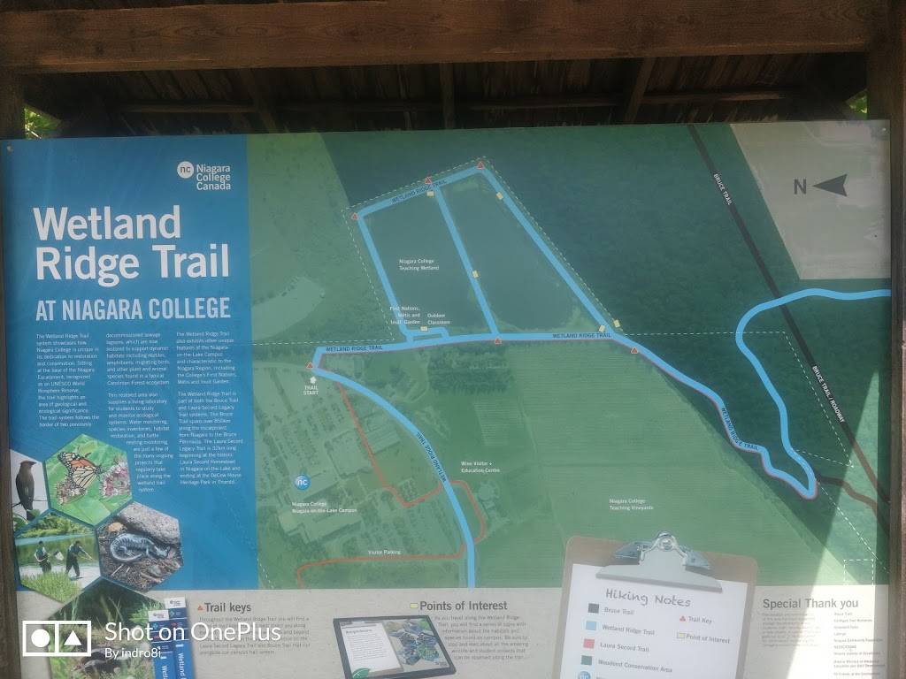 The Armoury | restaurant | 135 Taylor Rd, Niagara-on-the-Lake, ON L0S 1J0, Canada | 9056412252 OR +1 905-641-2252