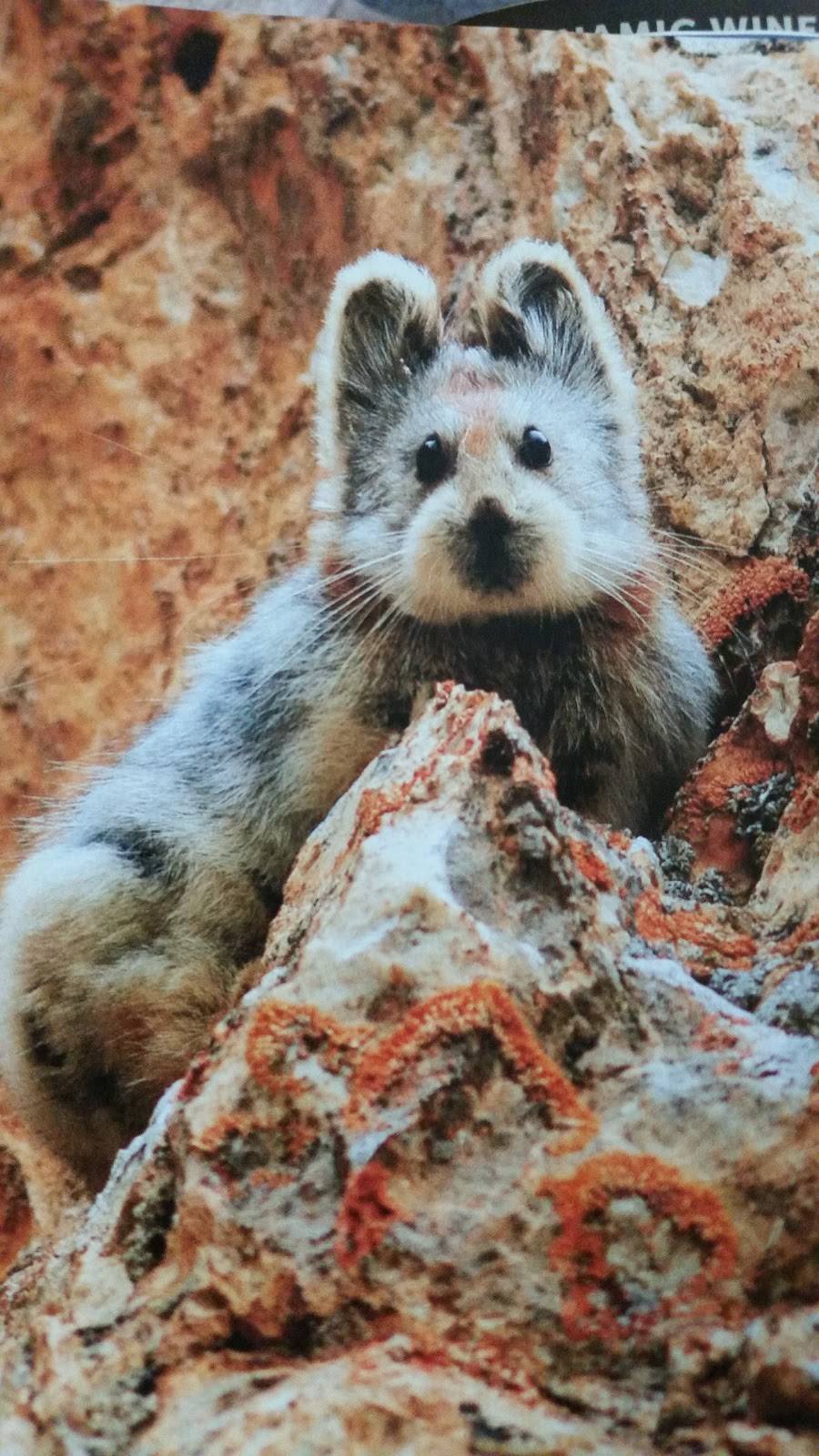 Jamba Juice Glencoe Ave. | restaurant | 4375 Glencoe Ave. Ste. D-4 Unit #205-3, Marina Del Rey, CA 90292, USA | 3103017262 OR +1 310-301-7262