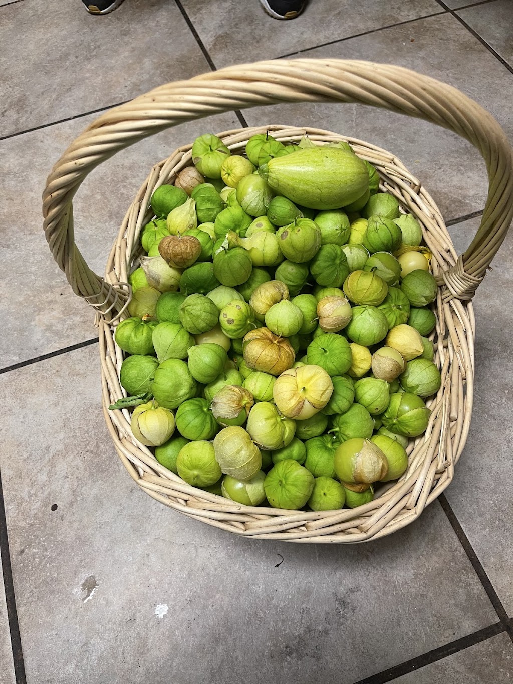 Mi Pueblito | restaurant | 5326 Rte 9W, Newburgh, NY 12550, USA | 8457874908 OR +1 845-787-4908