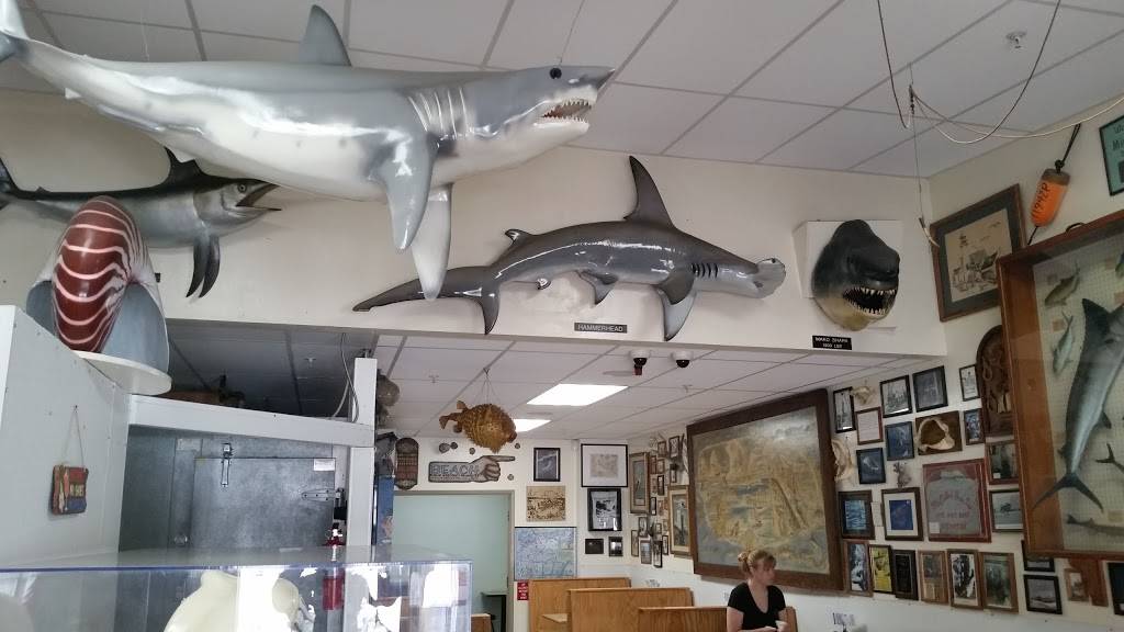 Harbor Fish & Chips | restaurant | 276 Harbor Dr, Oceanside, CA 92054, USA | 7607224977 OR +1 760-722-4977