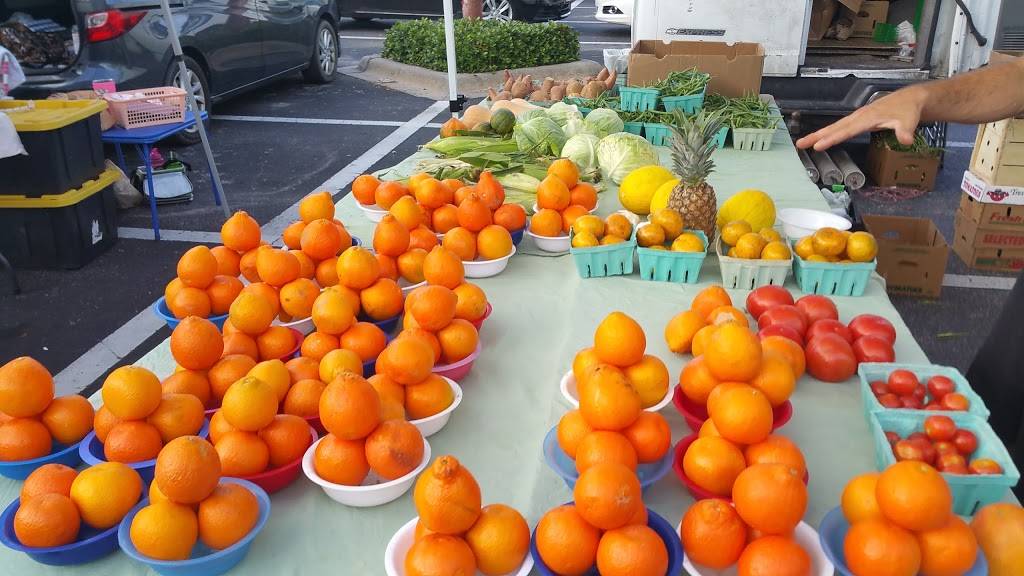 Woodys Local Neighborhood Rum & Grille | restaurant | 2408 Surfside Blvd, Cape Coral, FL 33991, USA | 2392572870 OR +1 239-257-2870