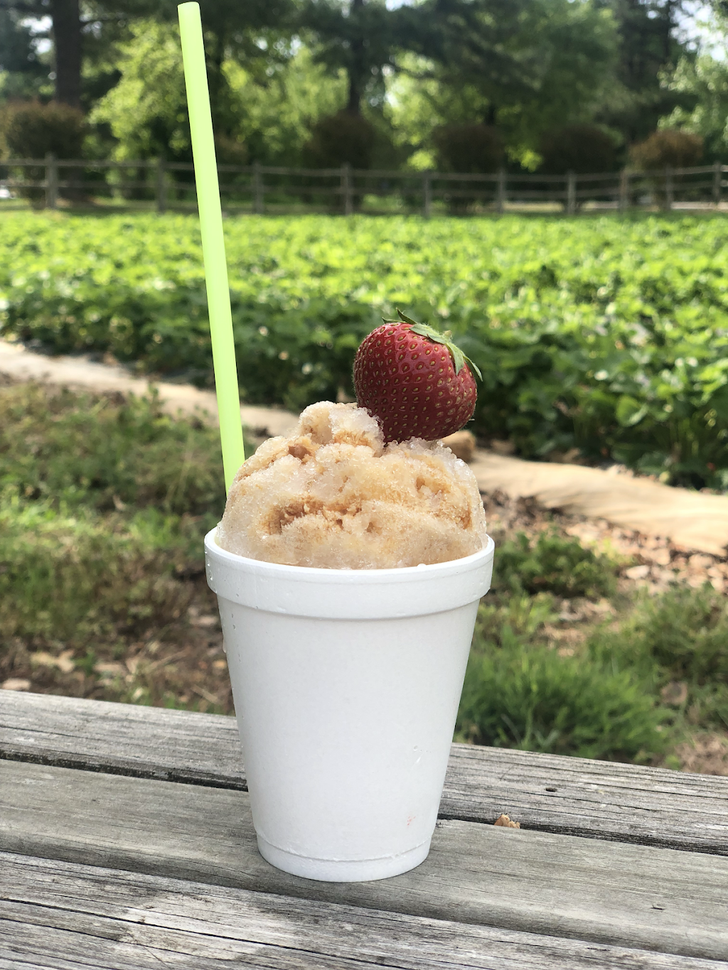 Fitz’s Snoballs | restaurant | 5909 Elm Springs Rd, Springdale, AR 72762, USA | 4797904794 OR +1 479-790-4794