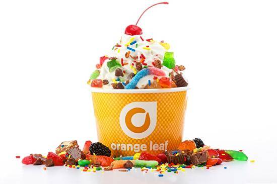 Orange Leaf Frozen Yogurt & Ice Cream | restaurant | 124 Broadway Ste B, Saugus, MA 01906, USA | 7815585644 OR +1 781-558-5644