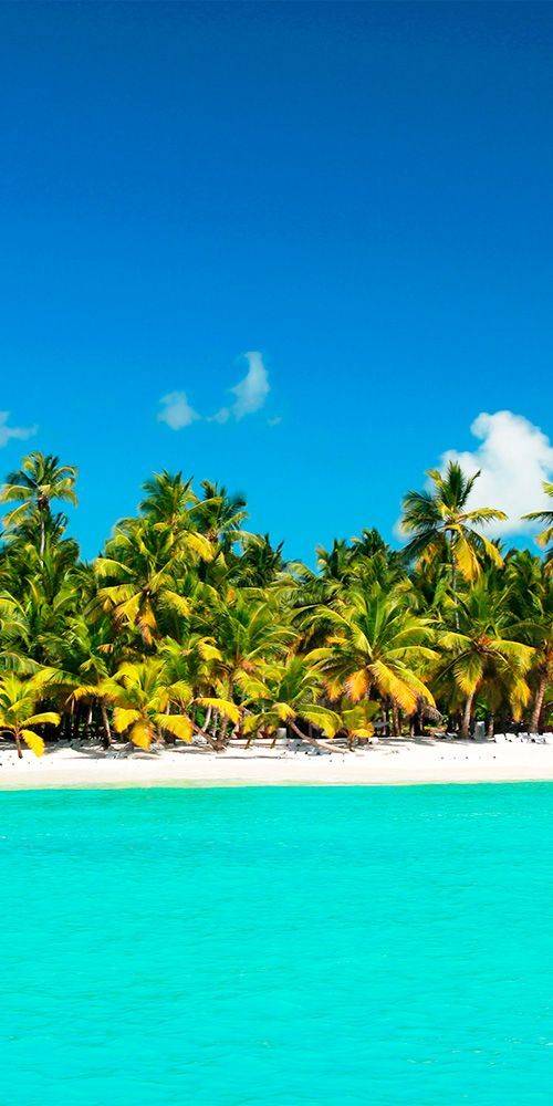 Caribbean809 restaurant | restaurant | 446 Main St, Woburn, MA 01801, USA | 7819353095 OR +1 781-935-3095