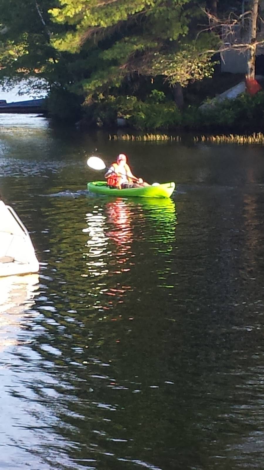 Stoney Point Marina | restaurant | 458 Fire Rte 99, Lakefield, ON K0L 2H0, Canada | 7058772300 OR +1 705-877-2300