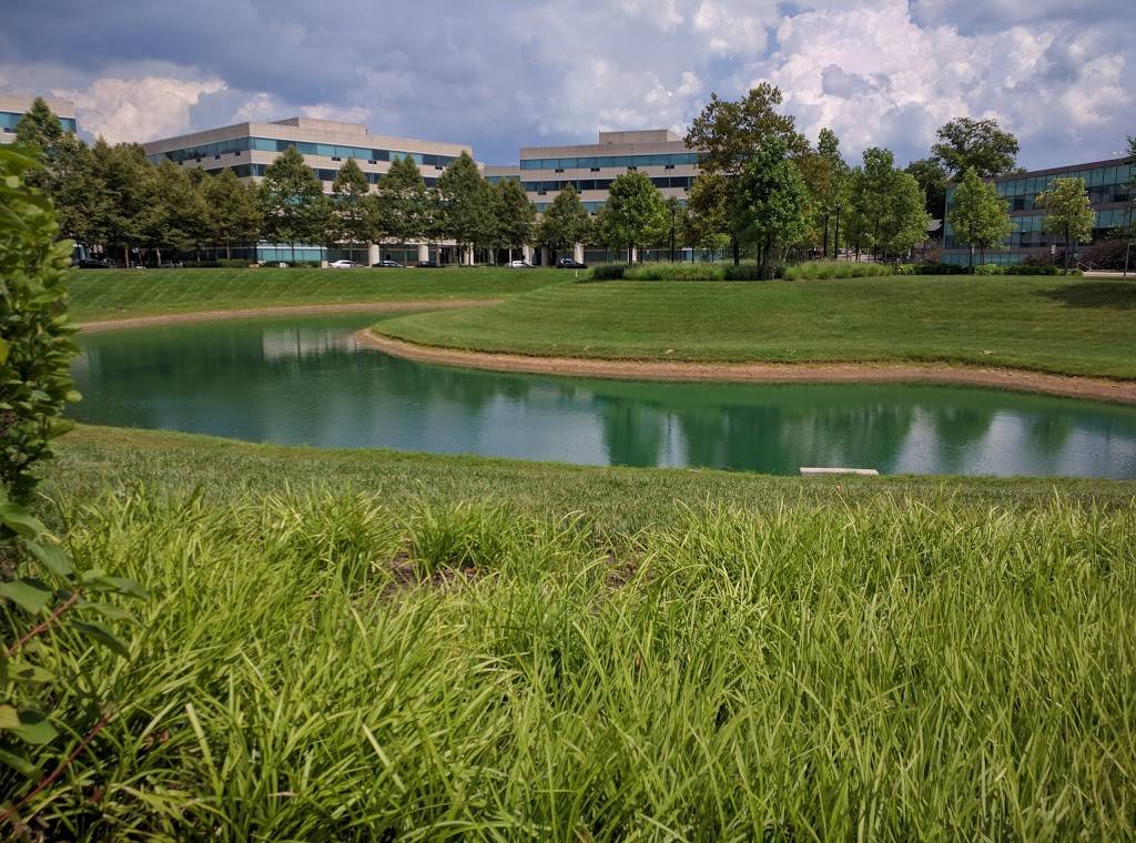 Uptown Cafe | restaurant | a, 6720-A Rockledge Dr, Bethesda, MD 20817, USA | 3015303205 OR +1 301-530-3205