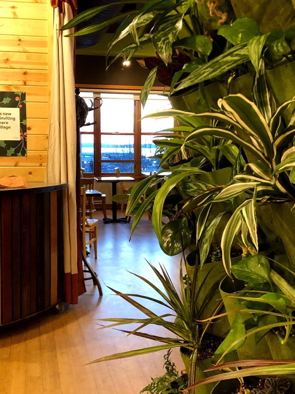 Evolve Chocolate + Cafe | cafe | 1200 11th St, Bellingham, WA 98225, USA | 3602201898 OR +1 360-220-1898