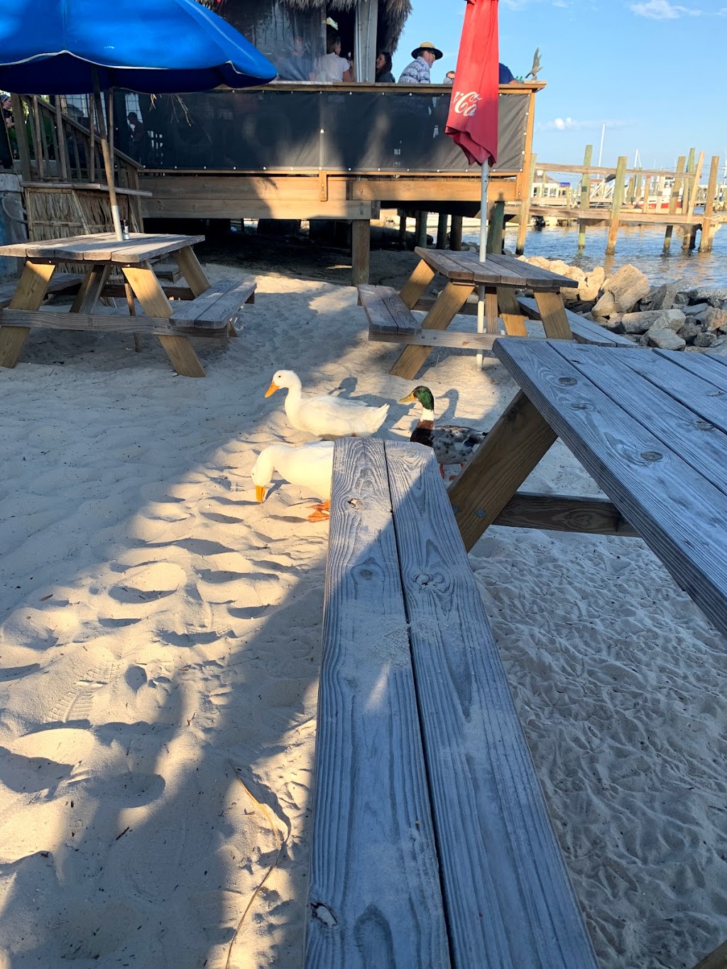 G.I. Jade Tiki Bar & Bistro | restaurant | 38 Miracle Strip Pkwy SW, Fort Walton Beach, FL 32548, USA | 8503748454 OR +1 850-374-8454