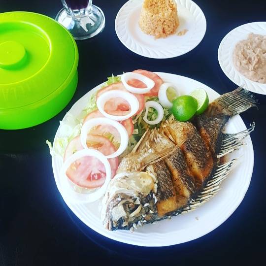 Finca Palma Real | restaurant | Boulevard Tercer Ayuntamiento, Los Valles, B.C., Mexico | 016645247461 OR +52 664 524 7461