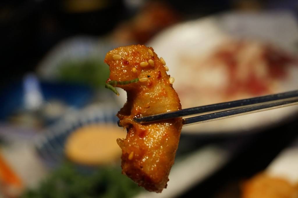 DOKDOYA(독도야) | restaurant | 161-29 Crocheron Ave, Flushing, NY 11358, USA | 9175635742 OR +1 917-563-5742