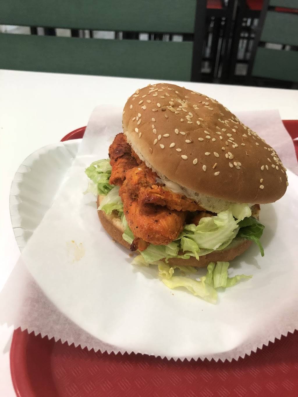 Halal Munchies | restaurant | 69-21 164th St, Fresh Meadows, NY 11365, USA | 7183800100 OR +1 718-380-0100