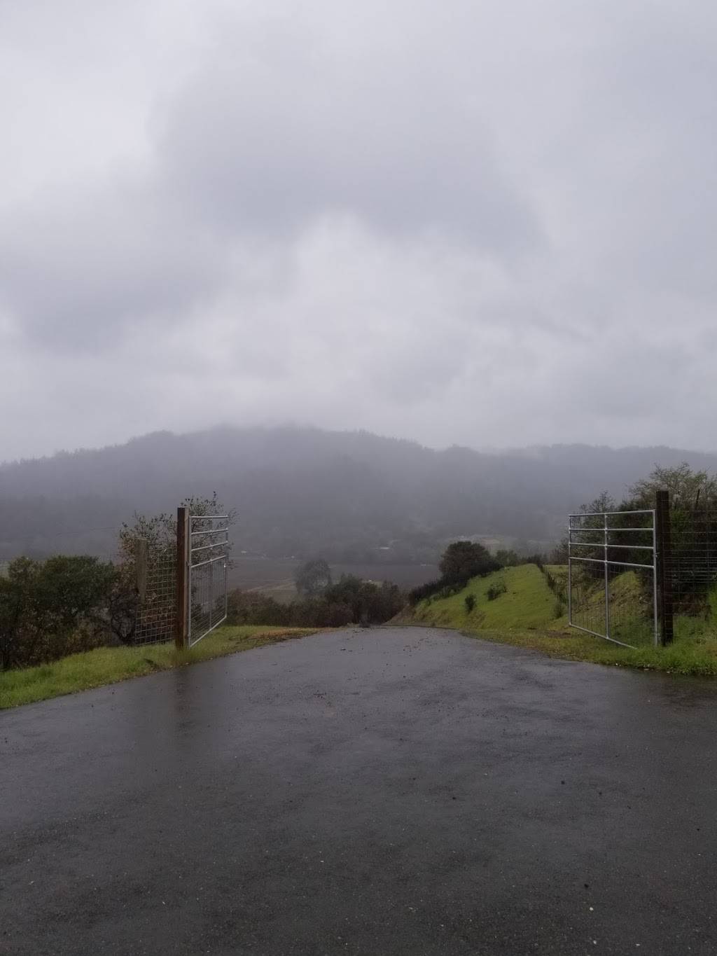 Subway Restaurants | restaurant | 632 Williams Rd A, Salinas, CA 93905, USA | 8314245411 OR +1 831-424-5411