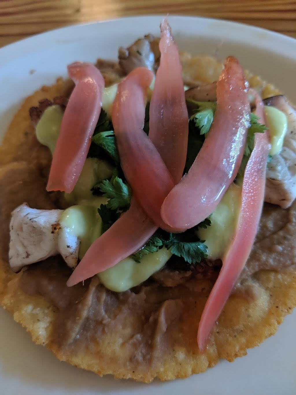 Gato | restaurant | 1660 McLendon Ave NE, Atlanta, GA 30307, USA | 4043710889 OR +1 404-371-0889