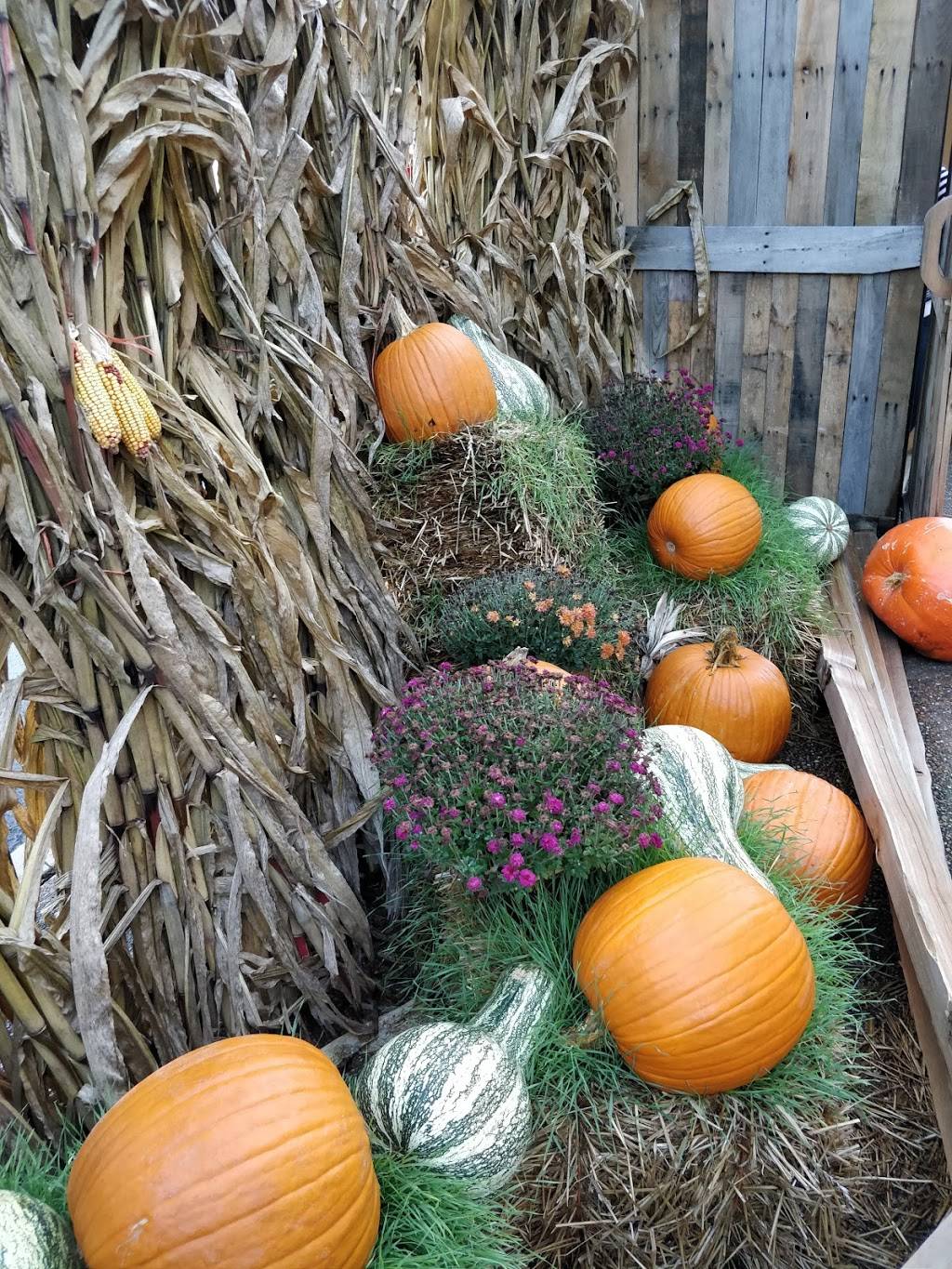 Subway | restaurant | 600 Parkway, Gatlinburg, TN 37738, USA | 8654304690 OR +1 865-430-4690