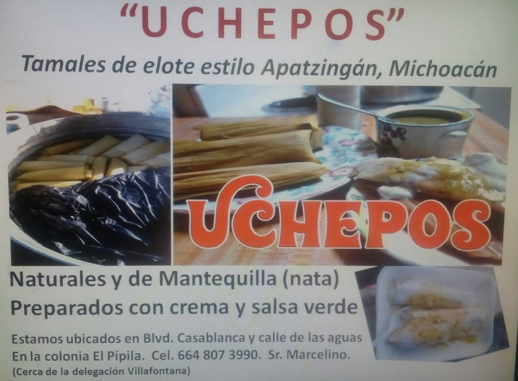 Uchepos El Güero | restaurant | Boulevard Casa Blanca S/N, El Pipila, 22206 Tijuana, B.C., Mexico | 016648073990 OR +52 664 807 3990