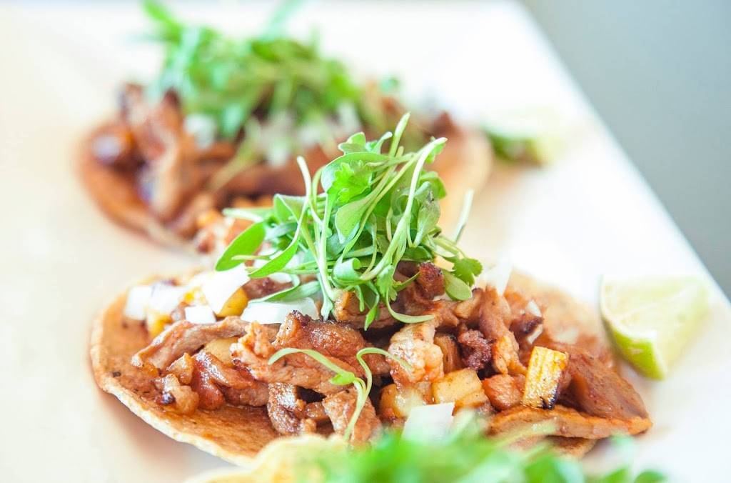 El Cotorro - Taqueria and Heladeria (craft tacos and ice creams) | restaurant | 111 Carlisle Blvd NE, Albuquerque, NM 87106, USA | 5055036202 OR +1 505-503-6202