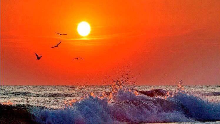 Dune Deck Café | cafe | 100 N Ocean Blvd, Lantana, FL 33462, USA | 5615820472 OR +1 561-582-0472