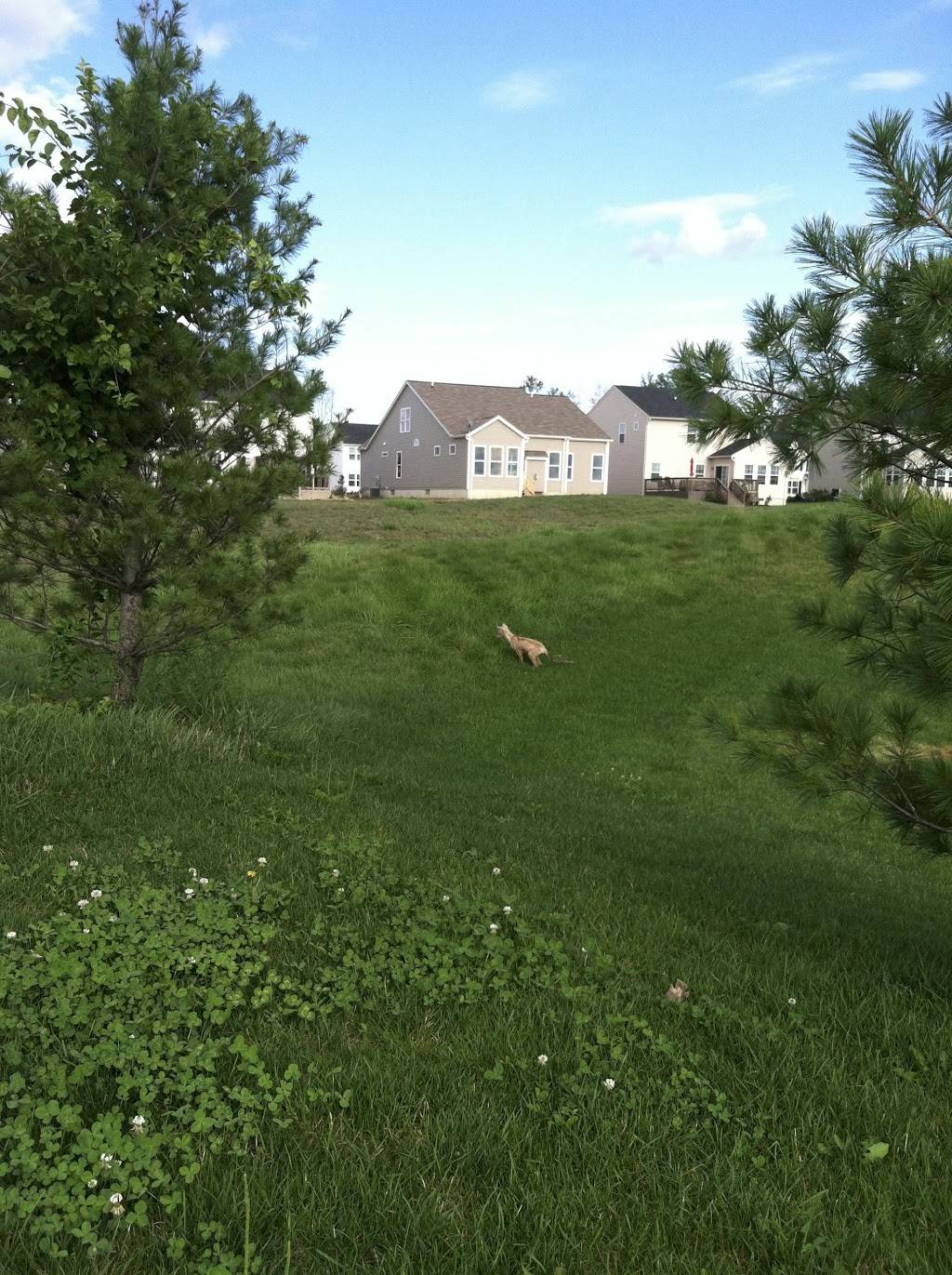 Shale Creek Golf Club | restaurant | 5420 Wolff Rd, Medina, OH 44256, USA | 3307238774 OR +1 330-723-8774