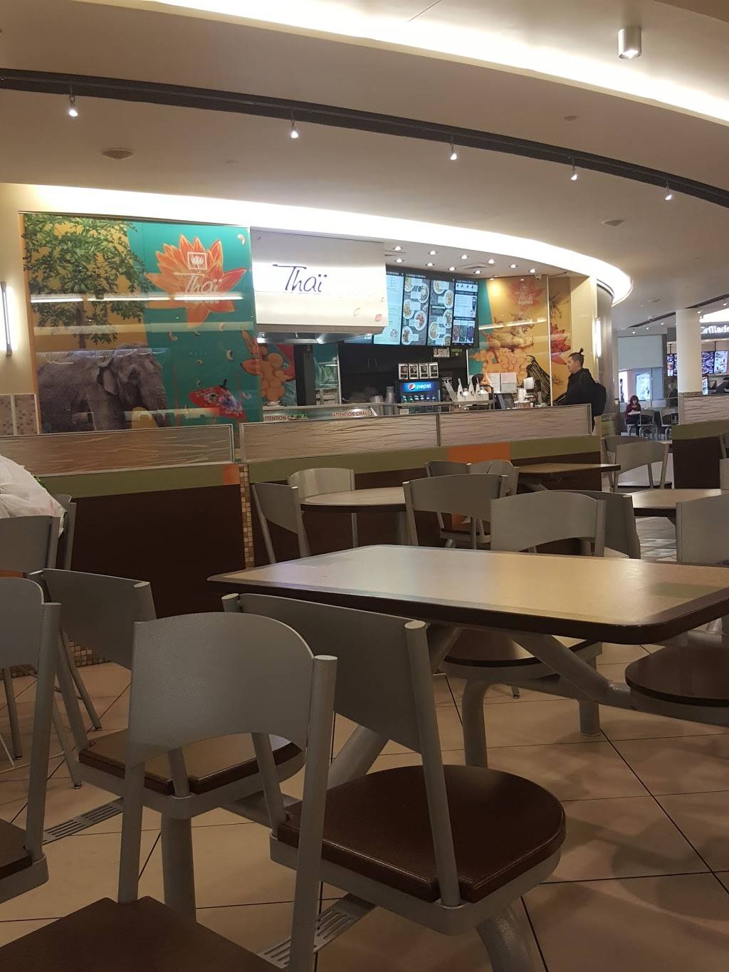 Thai Express | restaurant | 3131 Boul de la Côte-Vertu Place Vertu, Saint-Laurent, QC H4R 1Y8, Canada | 5143329651 OR +1 514-332-9651