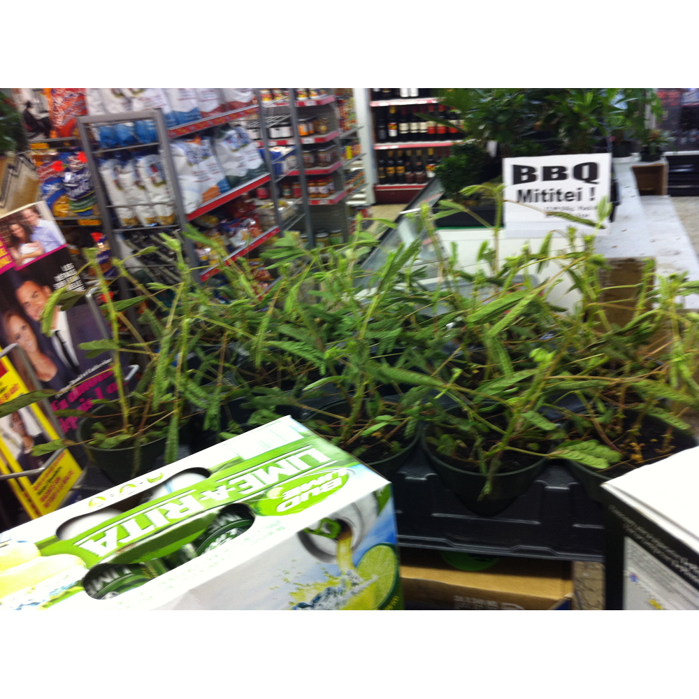 Florist Epicerie Normand | restaurant | 592 Rue Ingrid, Laval, QC H7P 3P7, Canada | 4506252027 OR +1 450-625-2027