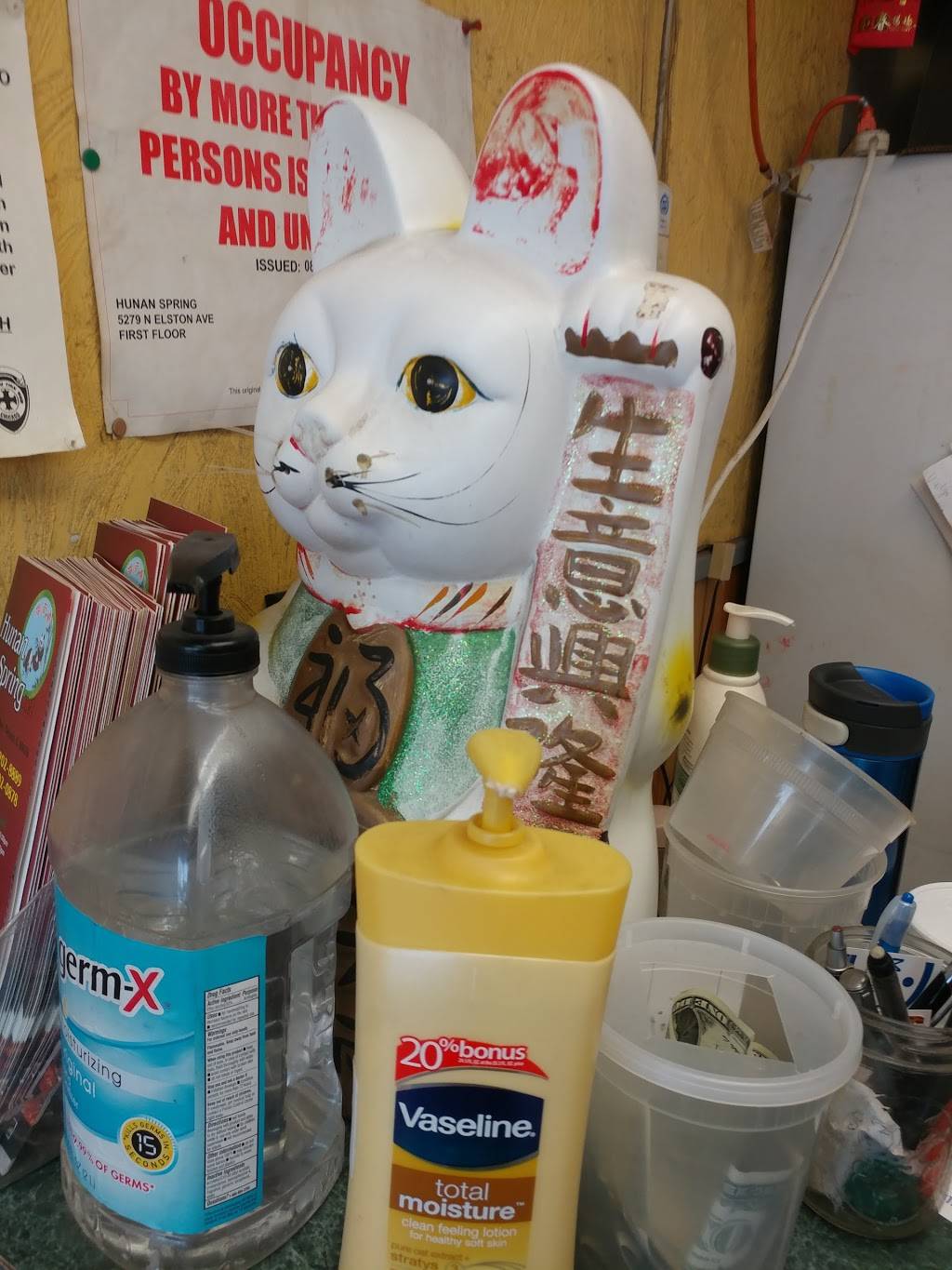 Hunan Spring Restaurant | restaurant | 5279 N Elston Ave, Chicago, IL 60630, USA | 7732028889 OR +1 773-202-8889